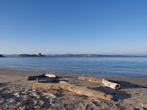 a pile of logs on a beach next to the water at Villa Sainte Anne in Porquerolles