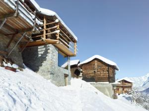 奧西埃的住宿－Chalet Le Biolley，雪覆盖的小屋,有马站在雪中