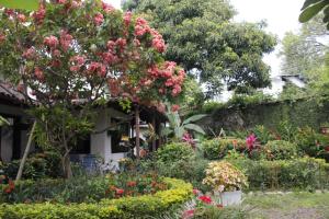 un jardín frente a una casa con flores en La Provincia Casa Campestre, en Rivera