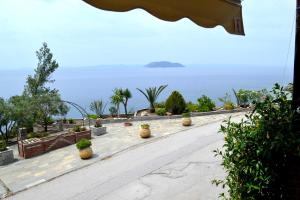 Táj Show holiday homes közelében