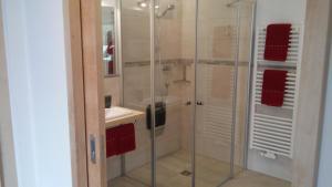 uma casa de banho com uma cabina de duche em vidro e um lavatório. em Haus Fliri em Curon Venosta