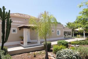 a house with a palm tree in the yard at Quinta do Pinheiro Manso - Holidays Villa - Marinha Beach in Carvoeiro