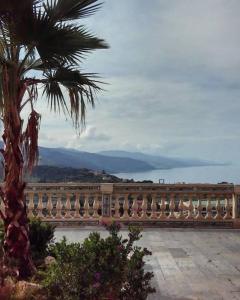 una valla con una palmera y vistas al océano en Casa Vacanze Camastra, en Santo Stefano di Camastra