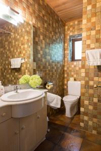 un bagno con lavandino e WC di Villa Neuwirth a Greifenstein