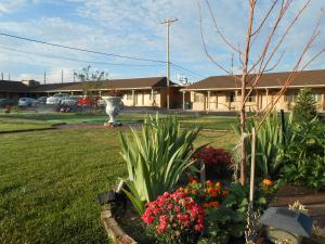 Gallery image of Sands Motel in Cheyenne