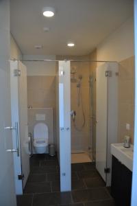 a bathroom with a shower and a toilet and a sink at Maison am Liesingbach in Vienna