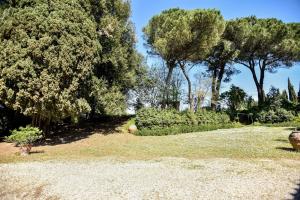 Gallery image of Villa San Dalmazio splendida appena 5km dal centro in Siena