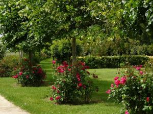 CorseulにあるGîte Le Logis - Manoir le Plessix Madeucの芝生のピンクの花々が咲く庭園