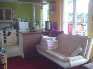 a living room with a couch and a kitchen at Ferienwohnung Naturnah in Dresden