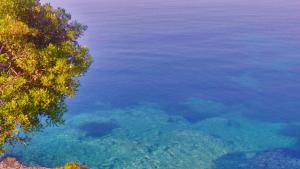 a view of a body of water with blue water at To Spitaki in Neos Marmaras