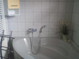 e bagno con vasca e doccia. di Ferienwohnung Naturnah a Dresda