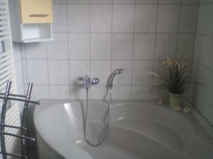 a bath tub with a shower in a bathroom at Ferienwohnung Naturnah in Dresden