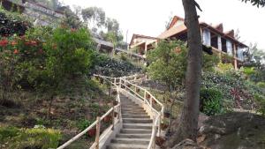 una scala che conduce a una casa su una collina di Hakuna Matata Lodge a Gisenyi