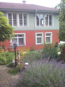 una casa con una boca de incendios en un jardín en Ferienwohnung Naturnah, en Dresden