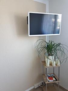 TV a/nebo společenská místnost v ubytování Storchennest