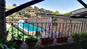 a balcony with potted plants and a swimming pool at Vivienda Turística Alojamiento Rural EL Trillo in El Alcornocal