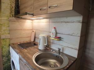 a kitchen with a sink in a tiny house at Apartments Ąžuolas in Palanga +28 photos