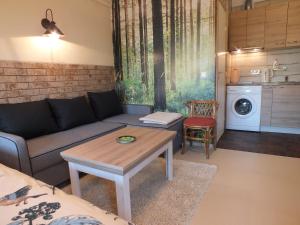 a living room with a couch and a table at Apartments Ąžuolas in Palanga