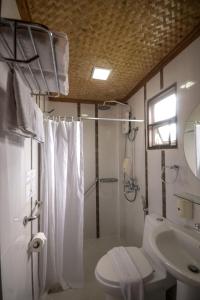 a bathroom with a shower and a toilet and a sink at Puerto Pension Inn in Puerto Princesa City