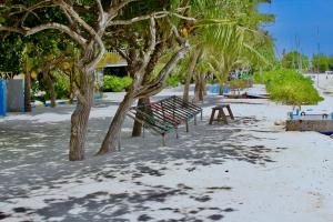 Fotografie z fotogalerie ubytování WhiteShell Island Hotel & Spa v Maafushi