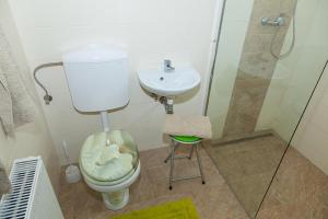 a bathroom with a toilet and a sink and a shower at Gästepension Sport 71 in Strasshof an der Nordbahn +11 photos