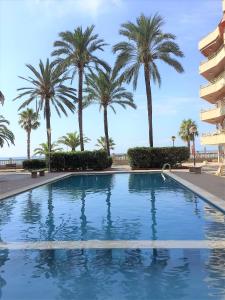 une piscine avec des palmiers en arrière-plan dans l'établissement InmoBooking Marina-Playa, à Cambrils