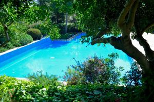 The swimming pool at or close to Abba Garden