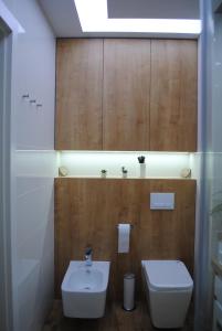 a bathroom with a sink and a toilet at Apartament Żeglarski Wilkasy in Wilkasy