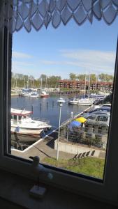 een raam met uitzicht op een jachthaven met boten in het water bij FEWO-bis-2-Pers-inmitten-den-Yachthafens-Ueckermuende-Stettiner-Haff-Ostsee in Ueckermünde