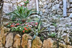 a garden with flowers and plants in it at Casarufolo Paradise in Sorrento