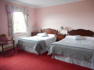 a bedroom with two beds and a window at Springfield House B&B in Clonakilty