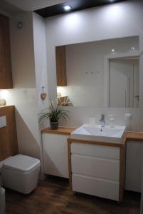 a bathroom with a sink and a toilet and a mirror at Apartament Żeglarski Wilkasy in Wilkasy