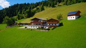 a house on a hill in a green field at Pension Bergbauernhof Irxner in Schladming