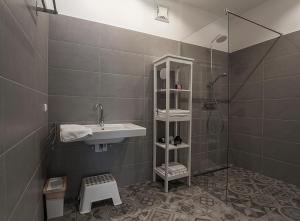 y baño con lavabo y ducha. en Weingut Gsellmann - Wohnen bei Ilse, en Gols