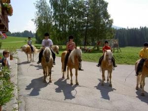 Ospiti di Hotel Stockerwirt
