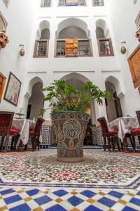 a large vase with a plant in the middle of a room at Dar Fes Medina Ziat in Fès