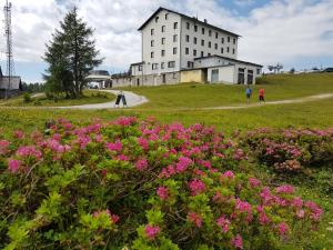 Foto de la galería de Hotel Berghof Tauplitzalm en Tauplitzalm