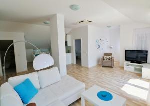 TV a/nebo společenská místnost v ubytování Apartments Barbati