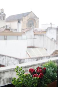 コルドバにあるLa Siesta Apartmentの窓に座る赤いバラの花束