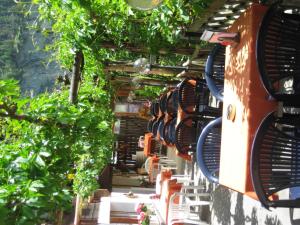 Zahrada ubytování Hotel Pension Spycher