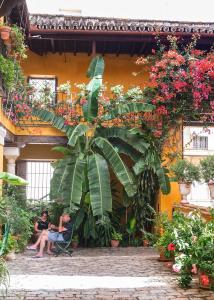 Zahrada ubytování Hotel Las Casas de la Judería