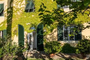 Vonkajšia záhrada v ubytovaní B&B Villa Panicucci
