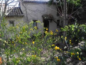 Clădirea în care este situat/ăpensiunea agroturistică