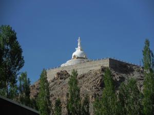 Gallery image of Sangto Green Guest House in Leh +53 photos