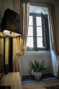 Melita corner apartment في فاليتا: غرفة معيشة مع نافذة ونبات الفخار