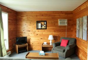 ein Wohnzimmer mit einem Stuhl und einem TV in der Unterkunft Hidden Acres Cottages in Cavendish