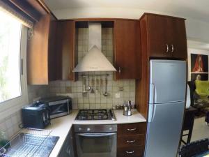 a kitchen with a stove and a refrigerator at Villa Galleria in Perivolia