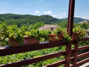 a balcony with a bunch of plants on a fence at Casuta dintre dealuri in Vlădeşti