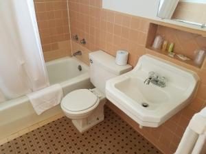 een badkamer met toilet en wastafel bij West Plains Motel in West Plains +31 foto's