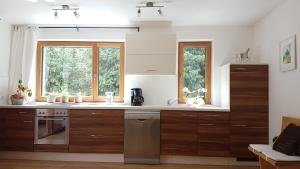 eine Küche mit Holzschränken, einem Waschbecken und 2 Fenstern in der Unterkunft Apartment Plan Corones in Bruneck